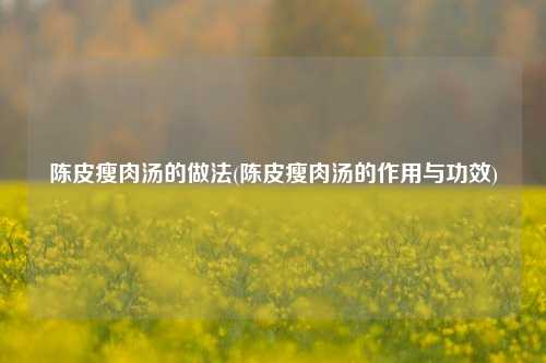 陈皮瘦肉汤的做法(陈皮瘦肉汤的作用与功效)