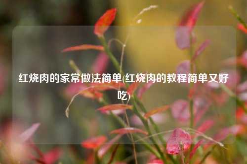 红烧肉的家常做法简单(红烧肉的教程简单又好吃)
