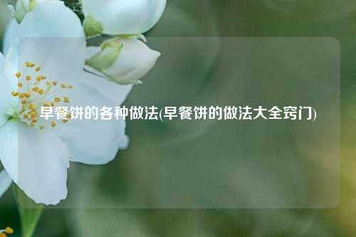 早餐饼的各种做法(早餐饼的做法大全窍门)