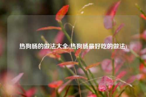 热狗肠的做法大全(热狗肠最好吃的做法)