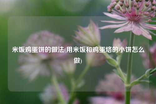 米饭鸡蛋饼的做法(用米饭和鸡蛋烙的小饼怎么做)