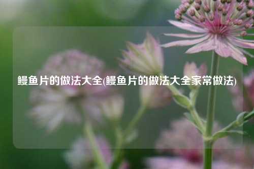 鳗鱼片的做法大全(鳗鱼片的做法大全家常做法)