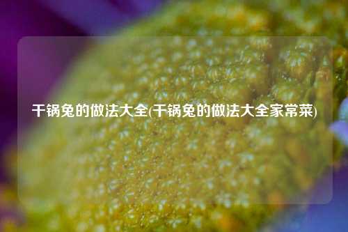 干锅兔的做法大全(干锅兔的做法大全家常菜)