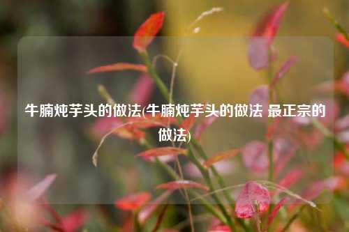 牛腩炖芋头的做法(牛腩炖芋头的做法 最正宗的做法)
