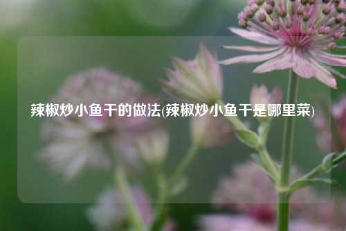 辣椒炒小鱼干的做法(辣椒炒小鱼干是哪里菜)