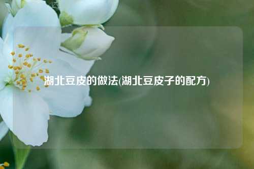 湖北豆皮的做法(湖北豆皮子的配方)