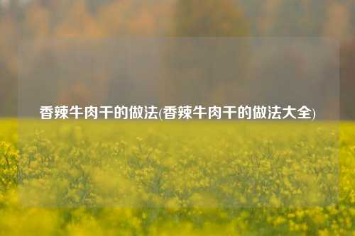 香辣牛肉干的做法(香辣牛肉干的做法大全)