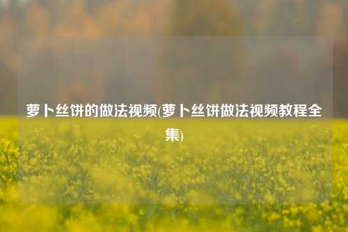 萝卜丝饼的做法视频(萝卜丝饼做法视频教程全集)