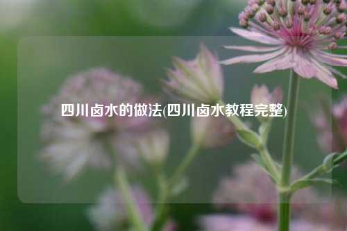 四川卤水的做法(四川卤水教程完整)
