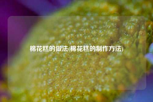 棉花糕的做法(棉花糕的制作方法)