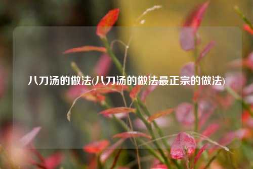 八刀汤的做法(八刀汤的做法最正宗的做法)