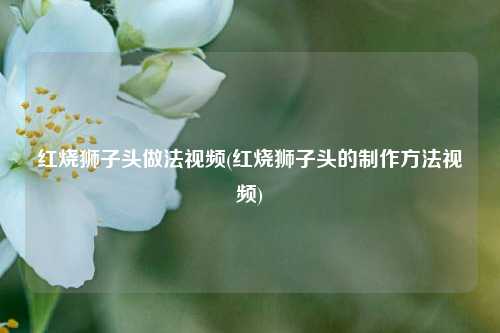 红烧狮子头做法视频(红烧狮子头的制作方法视频)