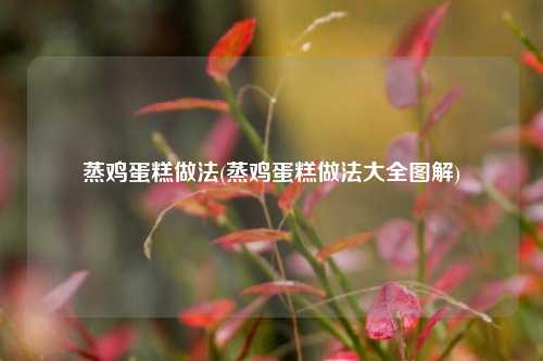 蒸鸡蛋糕做法(蒸鸡蛋糕做法大全图解)