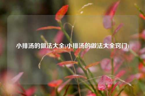 小排汤的做法大全(小排汤的做法大全窍门)