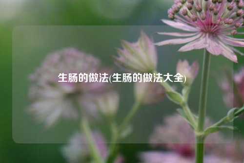 生肠的做法(生肠的做法大全)