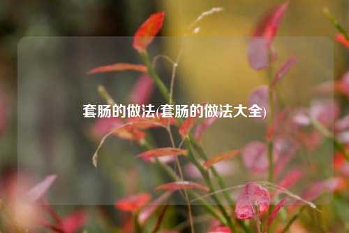 套肠的做法(套肠的做法大全)